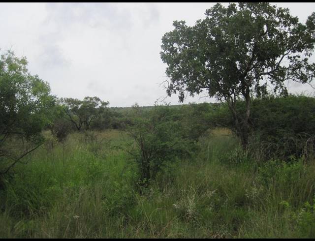 FARM FOR SALE IN HAAKDOORNBOOM AH